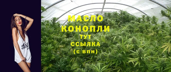индика Магадан